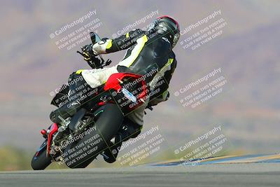 media/Jan-13-2024-SoCal Trackdays (Sat) [[9c032fe5aa]]/Turn 9 Backside (110pm)/